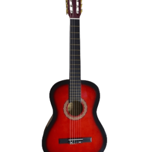 PRIMER PCG-10 GUIT VINO SOMBRE INCLUYE BOLSO